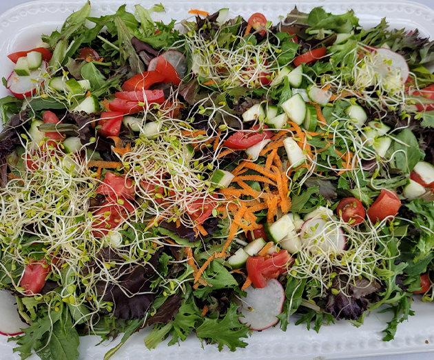 EZ-catering-photos-chef-salad-new Chef Salad, Catering, Joe's Deli, Hertel, Buffalo NY